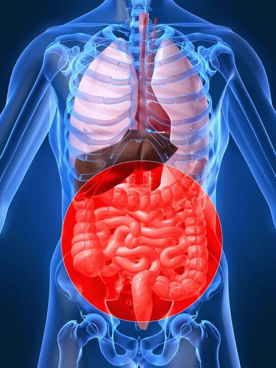 A disbiose intestinal provoca a activación do virus do papiloma humano